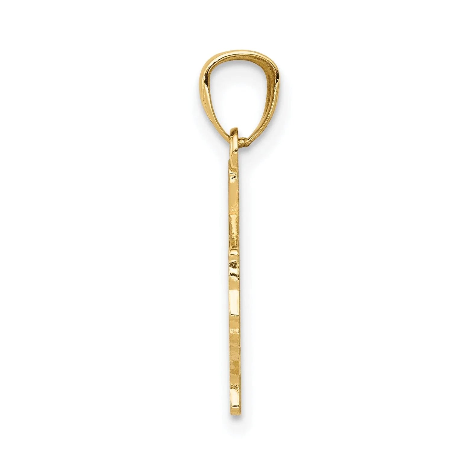 14k Yellow Gold Polished Finish Map State of TEXAS Pendant