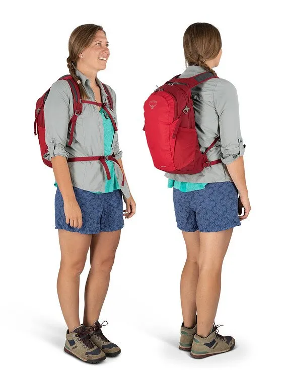 Osprey Daylite® 13L Simple Backpack - Tortuga Green